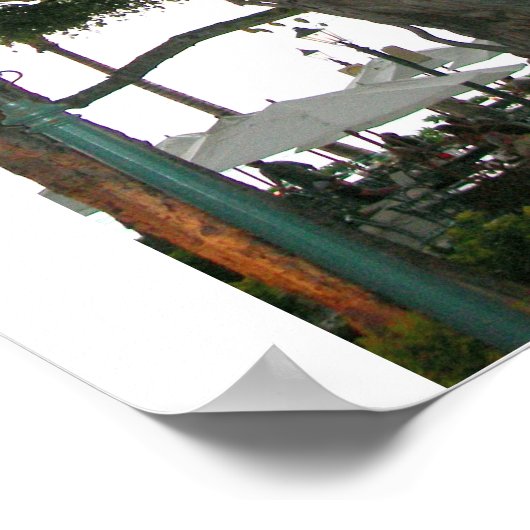 Tree Honolulu, Hawaii Waikiki beach ポスター (角)