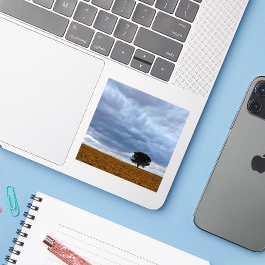 Tree in an empty field シール (ノートパソコンとiPhone)