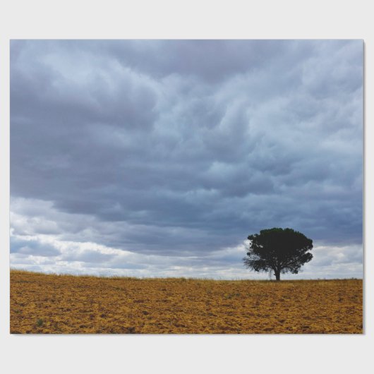 Tree in an empty field ラッピングペーパー (フラット)