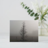 Tree in Fog 038ポストカード ポストカード (スタンド正面)