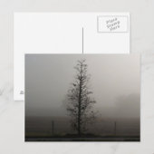 Tree in Fog 038ポストカード ポストカード (正面/裏面)