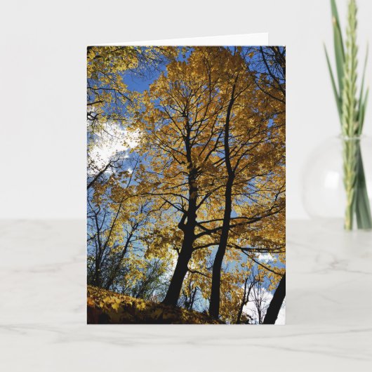Tree in Foliage Greeting Card カード (正面)
