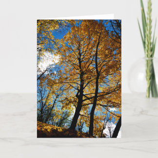 Tree in Foliage Greeting Card カード