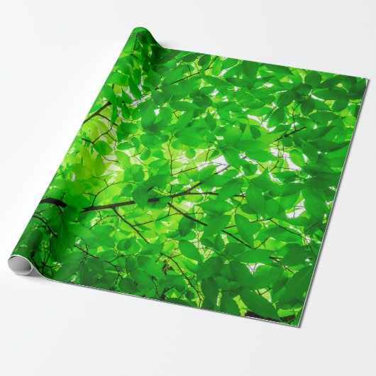 Tree leaf twig texture pattern ラッピングペーパー (アンロールド)