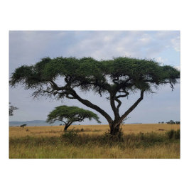 Tree Love ポスター