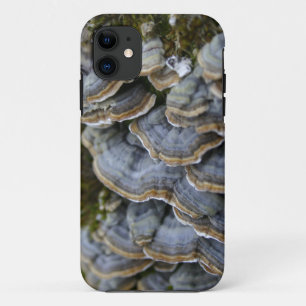 Tree Mushrooms Phone Case、iPhone SE + iPhone 5/5S対 11 ケース