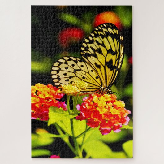 Tree Nymph Butterfly. ジグソーパズル (縦)