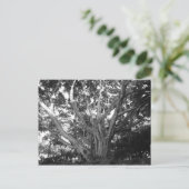 Tree of Lifeはがき ポストカード (スタンド正面)