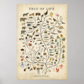 Tree of Life ポスター (正面)