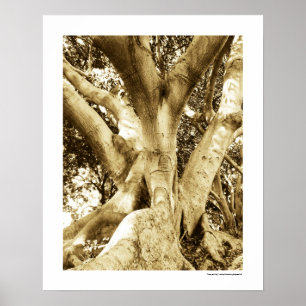 Tree of Life 16 x 20レトロポスターベージュヴィンテージ ポスター
