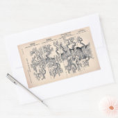 「Tree of Life」 1859イラストレーションby Ernst Haeckel 長方形シール (封筒)