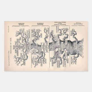 「Tree of Life」 1859イラストレーションby Ernst Haeckel 長方形シール