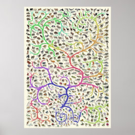 Tree of Life Darwinian Theory of Evolutionポスター ポスター