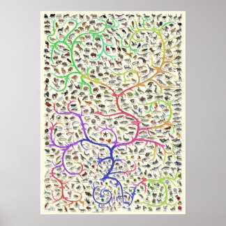 Tree of Life Darwinian Theory of Evolutionポスター ポスター