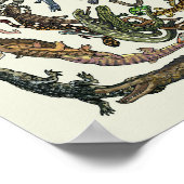 Tree of Life - Evolution Poster - Color ポスター (角)