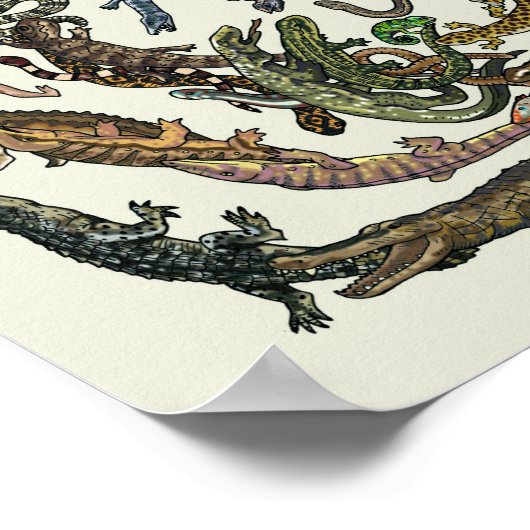 Tree of Life - Evolution Poster - Color ポスター (角)