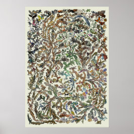 Tree of Life - Evolution Poster - Color ポスター
