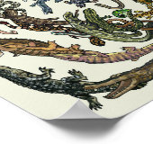 Tree of Life - Evolution Poster - Color ポスター (角)