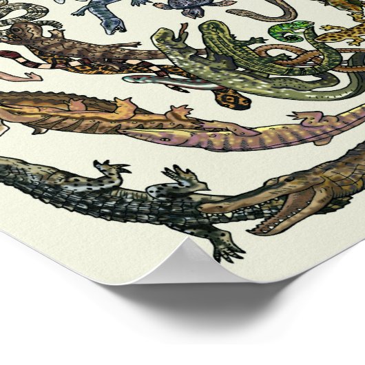 Tree of Life - Evolution Poster - Color ポスター (角)