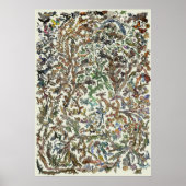 Tree of Life - Evolution Poster - Color ポスター (正面)