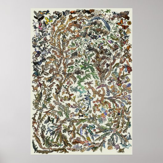 Tree of Life - Evolution Poster - Color ポスター (正面)