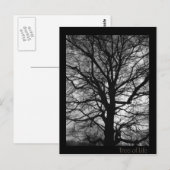 Tree of Life - Lebensbaum - Baum des Lebens ポストカード (正面/裏面)