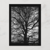 Tree of Life - Lebensbaum - Baum des Lebens ポストカード (正面)