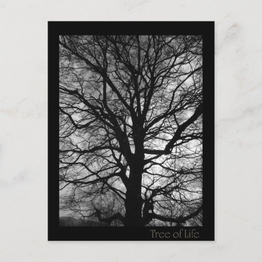 Tree of Life - Lebensbaum - Baum des Lebens ポストカード (正面)