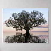 Tree of Life (Reflections) ポスター (正面)