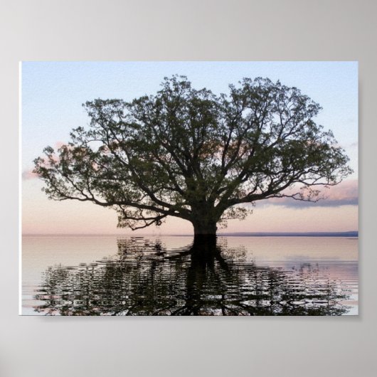 Tree of Life (Reflections) ポスター (正面)