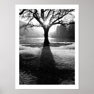Tree of Light: Derwentwater, Cumbria ポスター