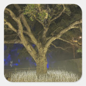 Tree of Lightsステッカー スクエアシール (正面)