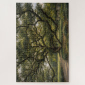 Tree of Southern Life | Live Oak Art | Puzzle ジグソーパズル (縦)