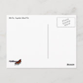 Tree Out of Red Rocks II at Canyonlands ポストカード (裏面)