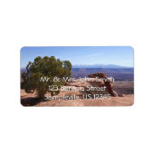 Tree Out of Red Rocks II at Canyonlands ラベル (正面)