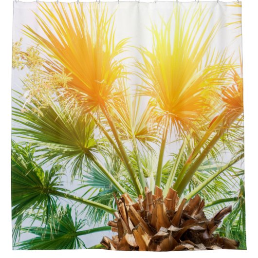 Tree palm bright sun summer background. tropical p シャワーカーテン (正面)