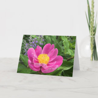 Tree Peony Blank Greeting Card サンキューカード