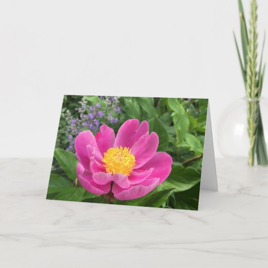Tree Peony Blank Greeting Card サンキューカード (正面)