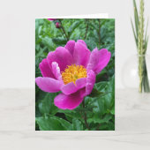 Tree Peony Blank Note Card シーズンカード (正面)