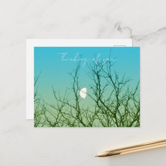 Tree Photography ポストカード (正面/裏面インサイチュ)