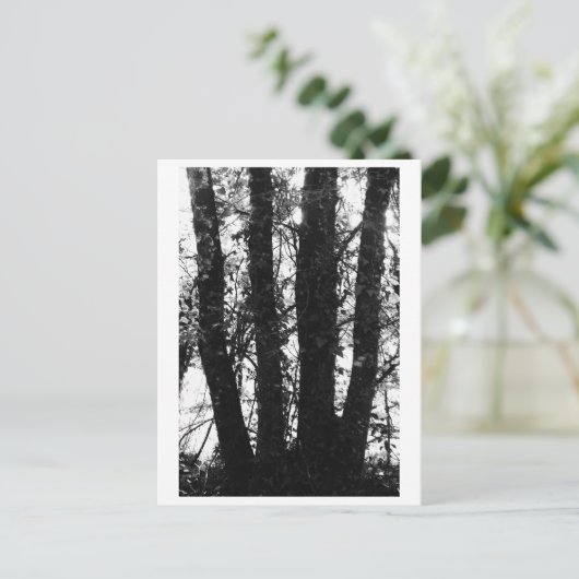 Tree Photography - Arden ポストカード (スタンド正面)