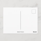 Tree Photography - Treow ポストカード (裏面)