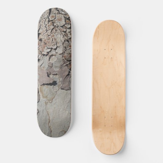 Tree Planet Four Skateboard スケートボード (正面)