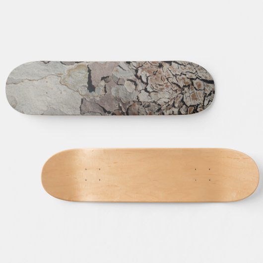 Tree Planet Four Skateboard スケートボード (横)