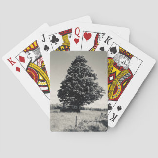 tree playing cards トランプ