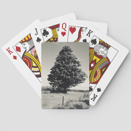 tree playing cards トランプ (裏面)