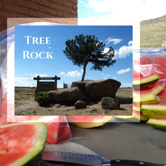 Tree Rock、中間州80の中央値、Buford Wyoming ポストカード