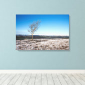 Tree Scout Scar Old Man of Conistonバックグラウンド キャンバスプリント (インサイチュ (ウッドフロア))