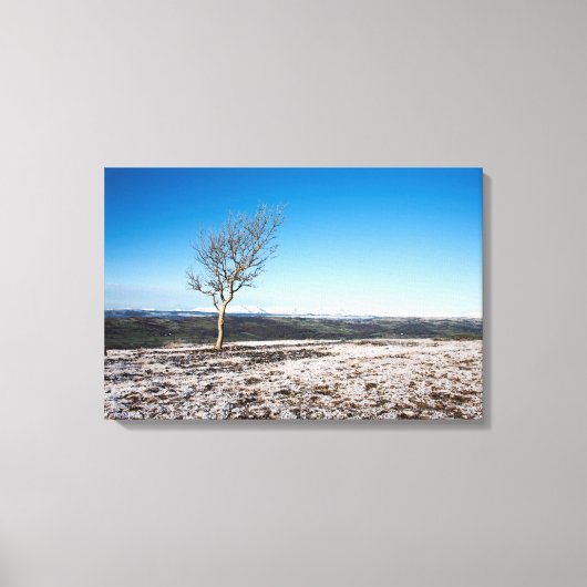 Tree Scout Scar Old Man of Conistonバックグラウンド キャンバスプリント (正面)