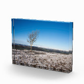 Tree Scout Scar Old Man of Conistonバックグラウンド フォトブロック (右)